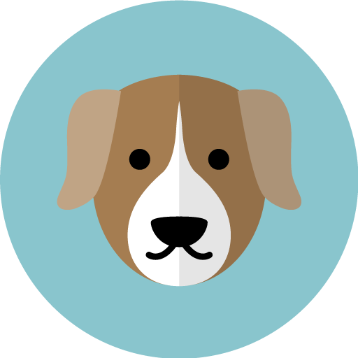 Chien Perdu Algérie